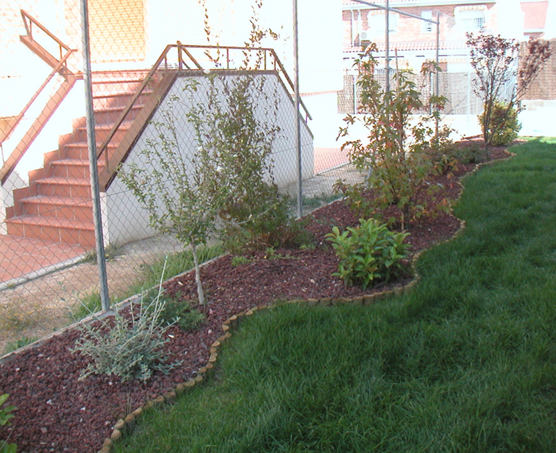 [Foto de planta, jardin, jardineria]