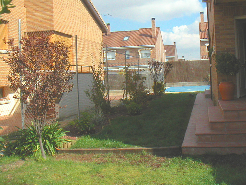 [Foto de planta, jardin, jardineria]
