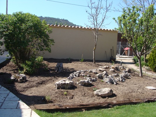 [Foto de planta, jardin, jardineria]