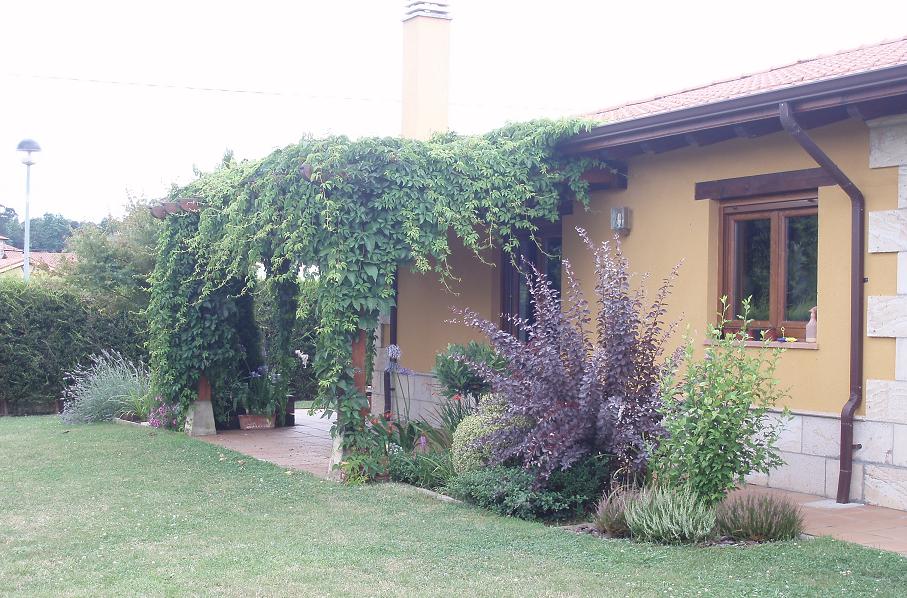 [Foto de planta, jardin, jardineria]