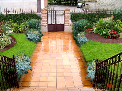 [Foto de planta, jardin, jardineria]