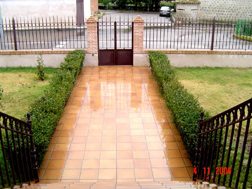 [Foto de planta, jardin, jardineria]