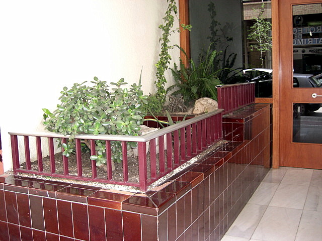 [Foto de planta, jardin, jardineria]