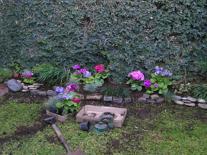 [Foto de planta, jardin, jardineria]