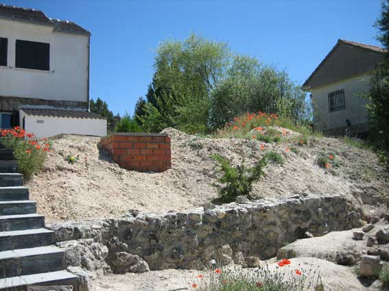 [Foto de planta, jardin, jardineria]