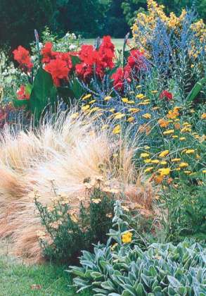 [Foto de planta, jardin, jardineria]