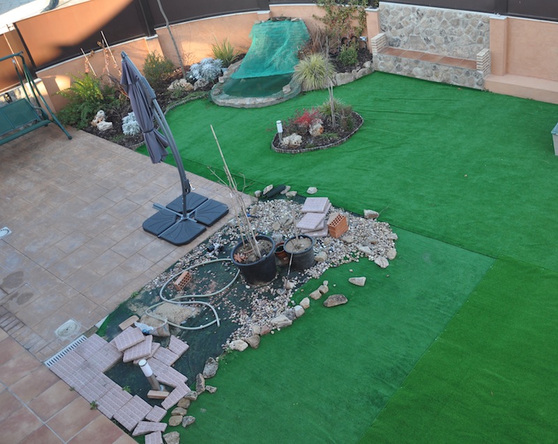 [Foto de planta, jardin, jardineria]