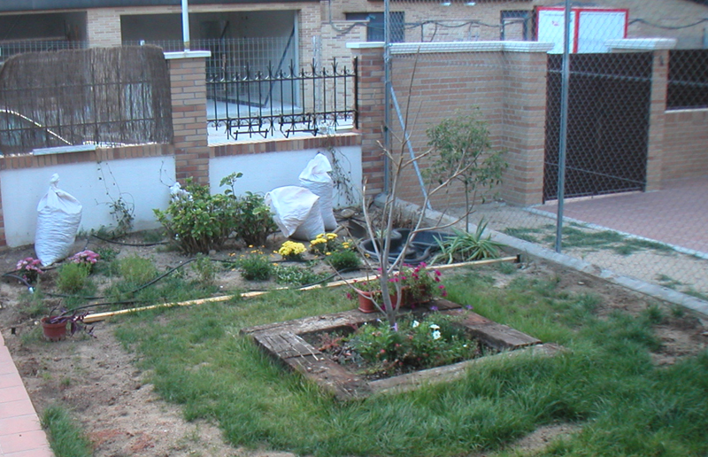 [Foto de planta, jardin, jardineria]