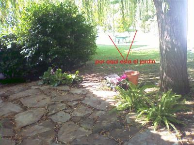[Foto de planta, jardin, jardineria]