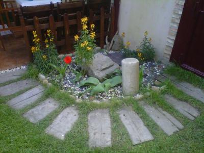 [Foto de planta, jardin, jardineria]