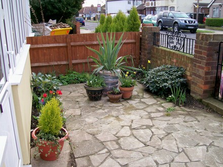 [Foto de planta, jardin, jardineria]
