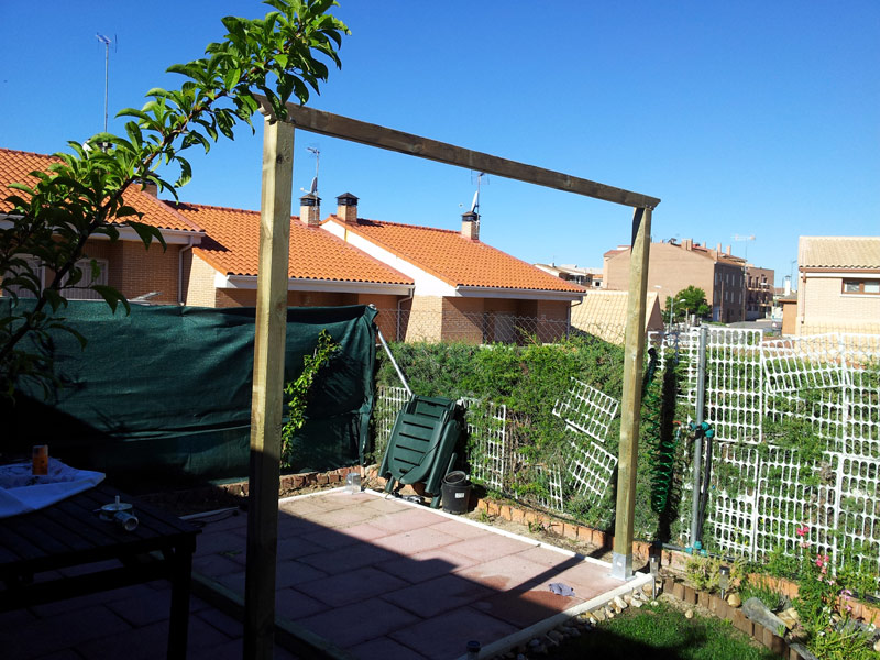 [Foto de planta, jardin, jardineria]