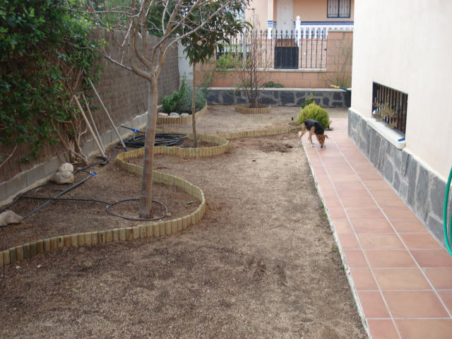 [Foto de planta, jardin, jardineria]