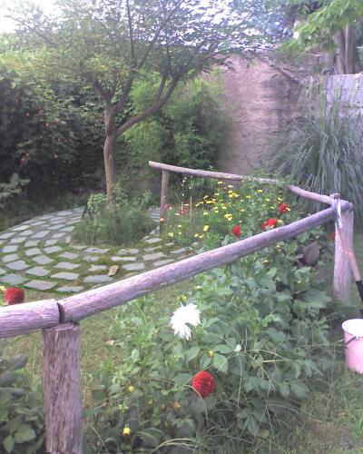 [Foto de planta, jardin, jardineria]