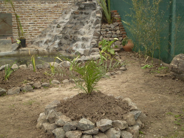 [Foto de planta, jardin, jardineria]