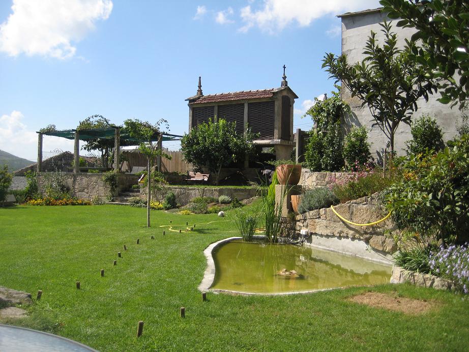 [Foto de planta, jardin, jardineria]