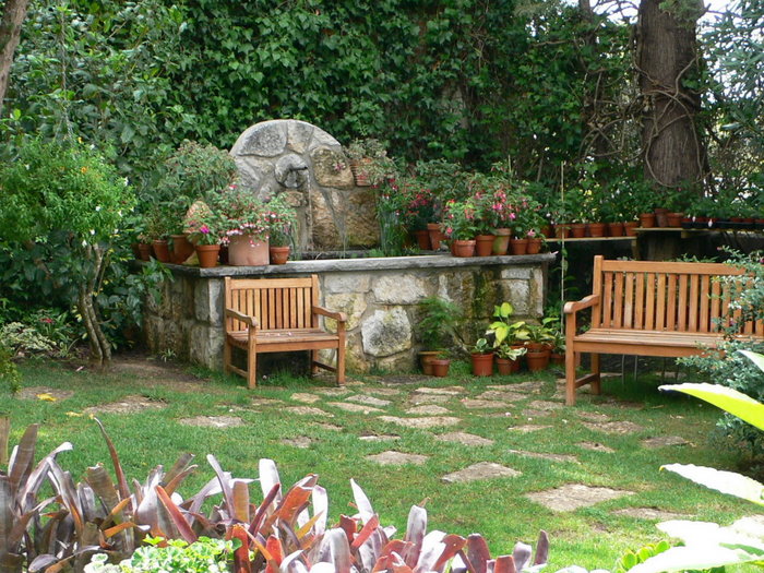 [Foto de planta, jardin, jardineria]
