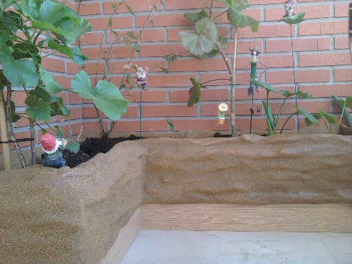 [Foto de planta, jardin, jardineria]