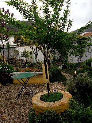[Foto de planta, jardin, jardineria]