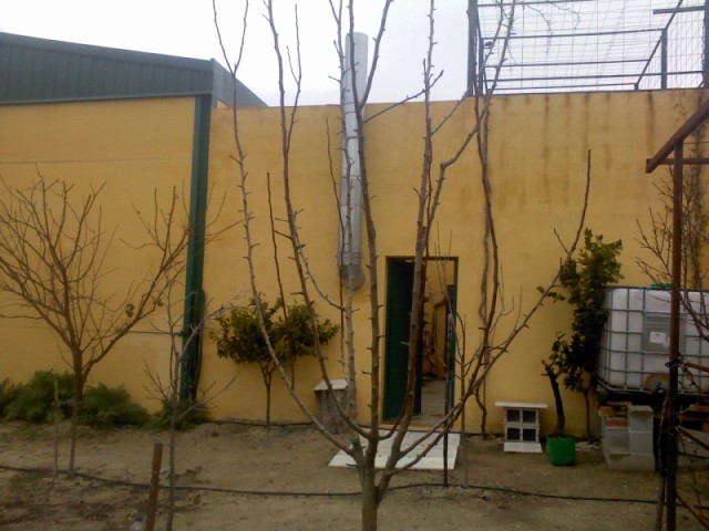[Foto de planta, jardin, jardineria]