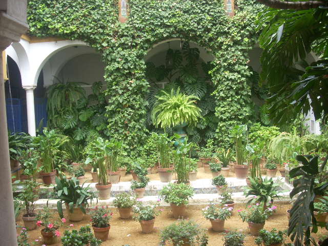 [Foto de planta, jardin, jardineria]