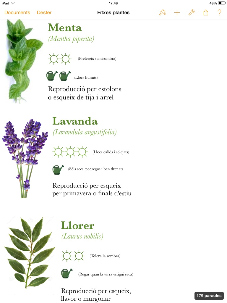 [Foto de planta, jardin, jardineria]