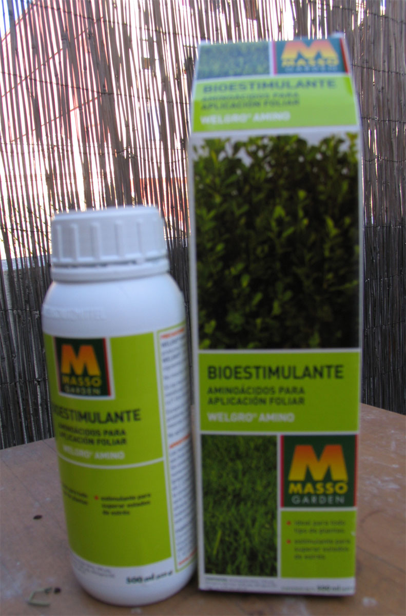 [Foto de planta, jardin, jardineria]