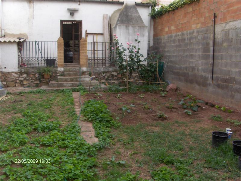 [Foto de planta, jardin, jardineria]