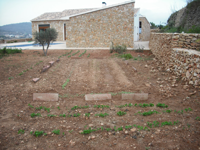 [Foto de planta, jardin, jardineria]