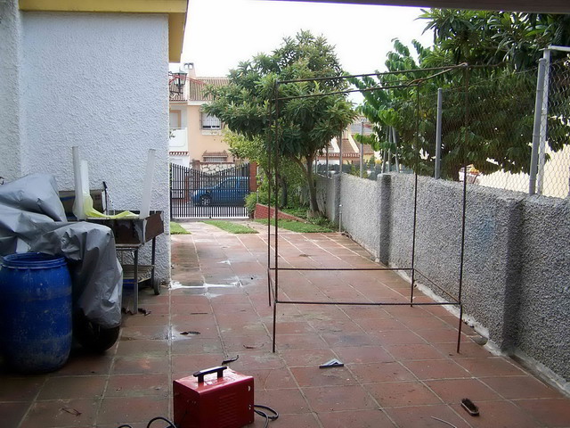 [Foto de planta, jardin, jardineria]