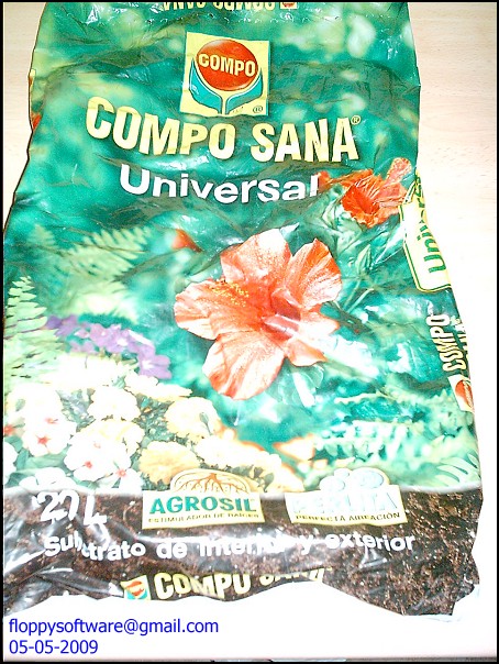 [Foto de planta, jardin, jardineria]