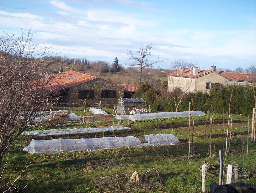 [Foto de planta, jardin, jardineria]