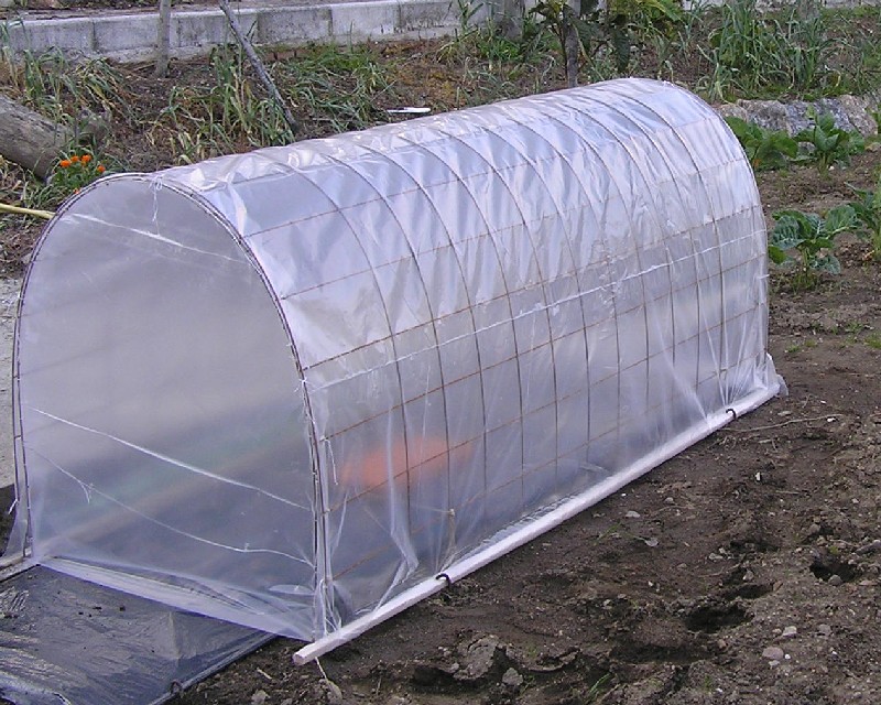  BSEA Invernadero pequeño de fácil instalación, jardín portátil  al aire libre, casa verde, jardinería, casa de flores, habitación con  cubierta de PVC de 35 x 35 x 35 pulgadas para proteger