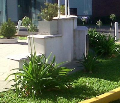 [Foto de planta, jardin, jardineria]