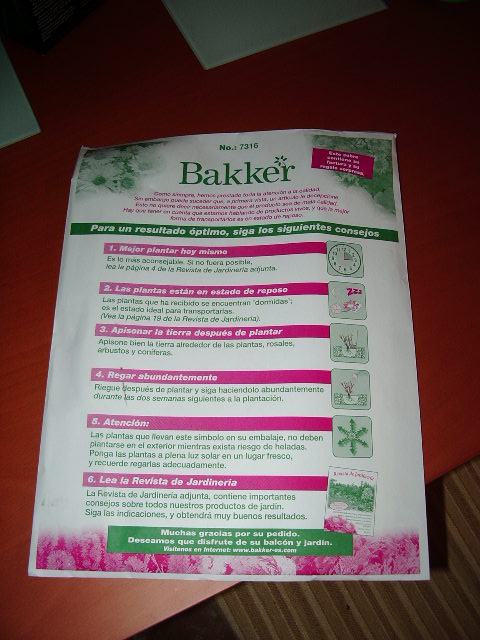 [Foto de planta, jardin, jardineria]