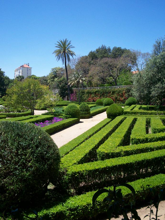 [Foto de planta, jardin, jardineria]