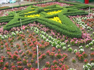 [Foto de planta, jardin, jardineria]