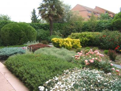 [Foto de planta, jardin, jardineria]