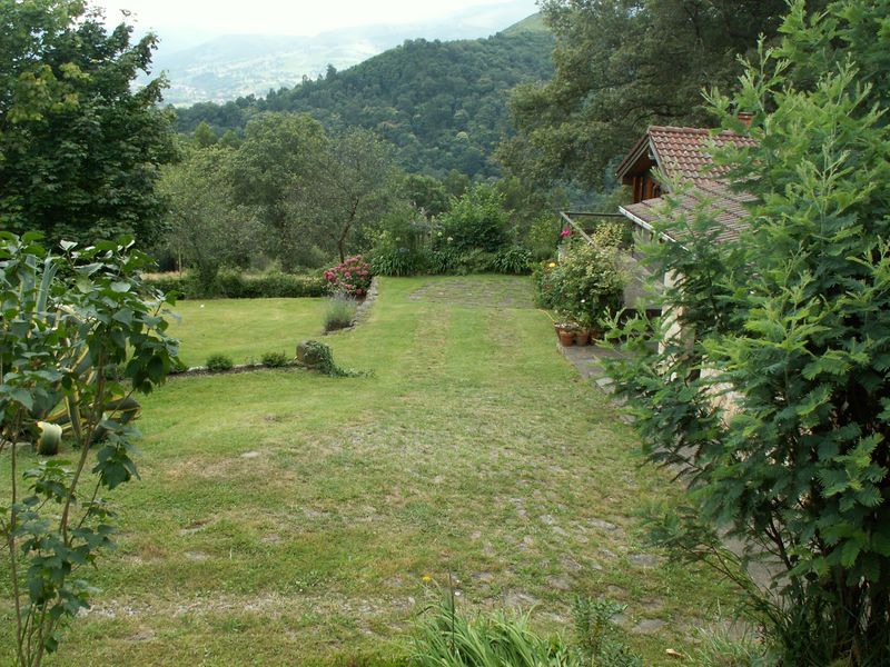 [Foto de planta, jardin, jardineria]