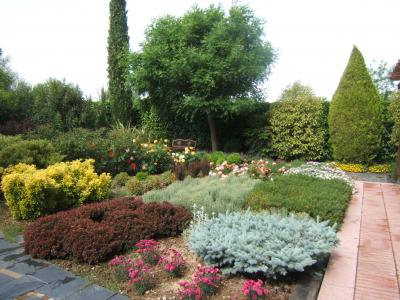 [Foto de planta, jardin, jardineria]