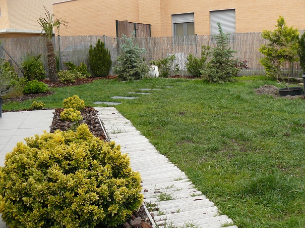 [Foto de planta, jardin, jardineria]