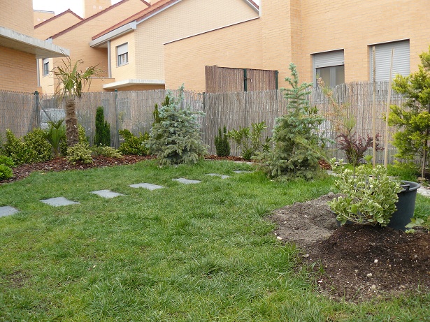 [Foto de planta, jardin, jardineria]