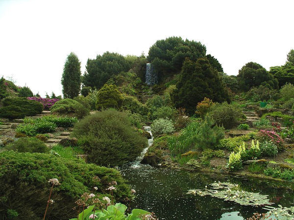 [Foto de planta, jardin, jardineria]