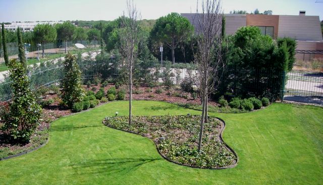 [Foto de planta, jardin, jardineria]