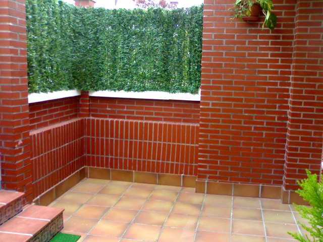 [Foto de planta, jardin, jardineria]