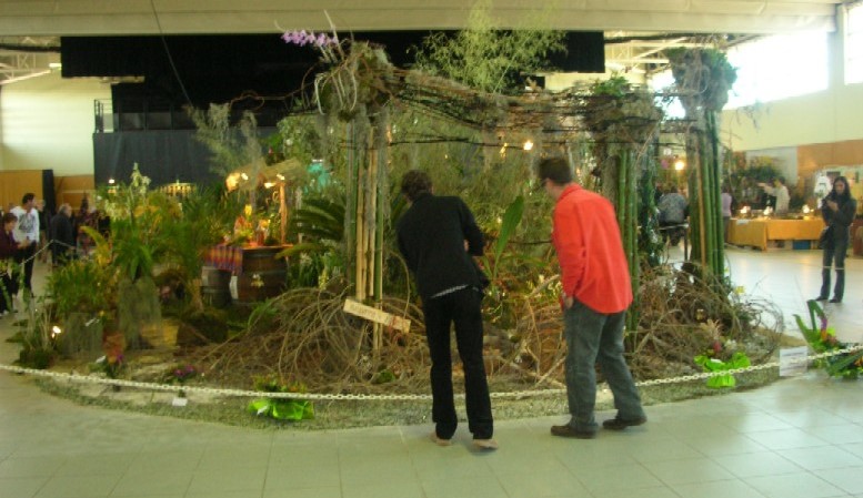 [Foto de planta, jardin, jardineria]