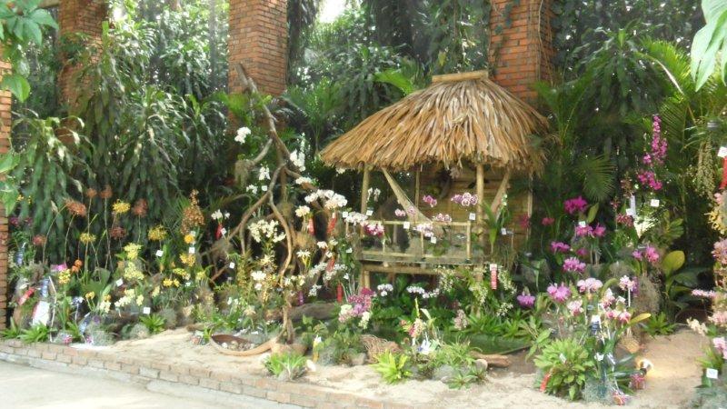 [Foto de planta, jardin, jardineria]
