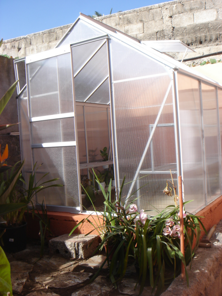 [Foto de planta, jardin, jardineria]