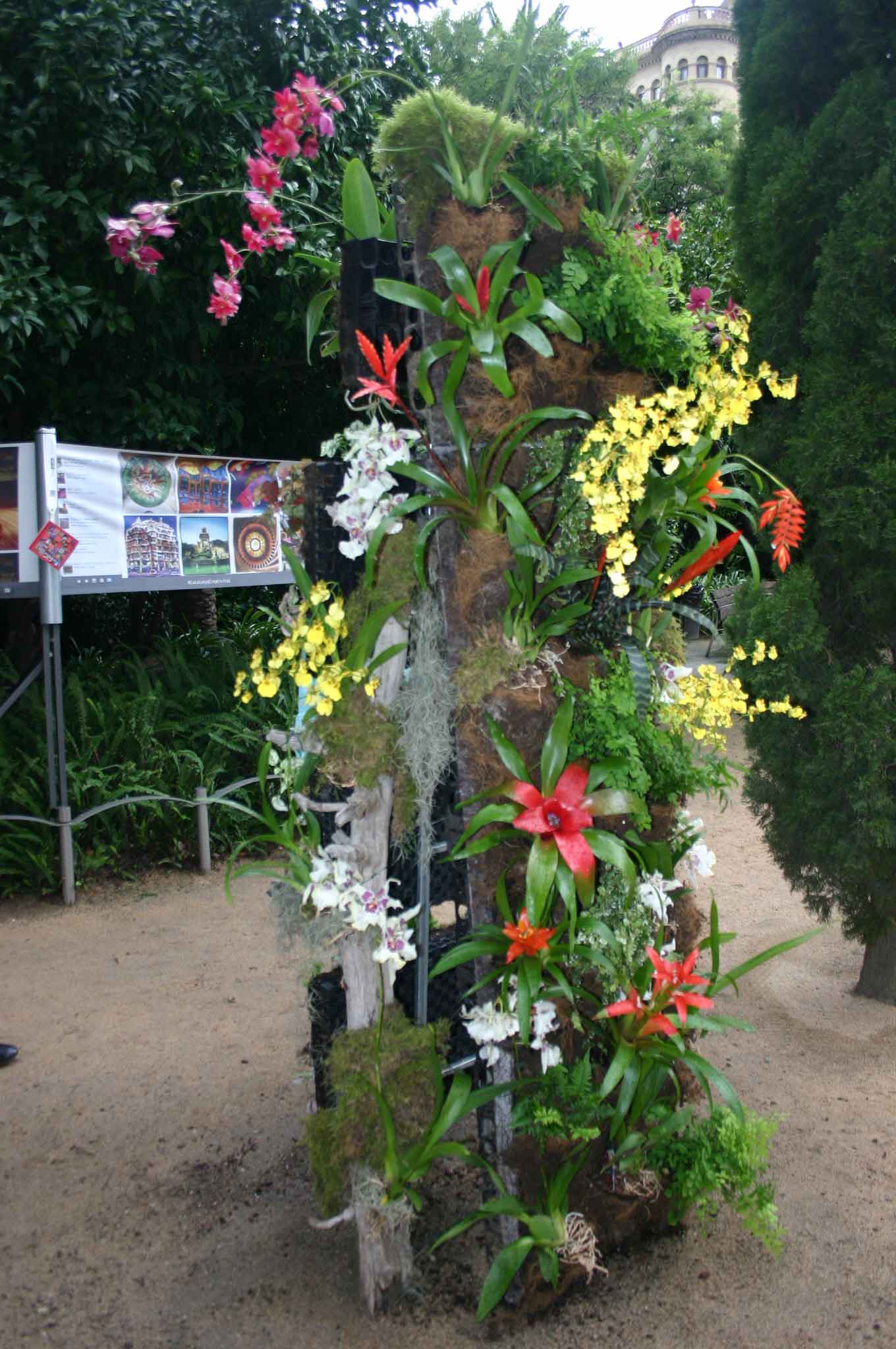 [Foto de planta, jardin, jardineria]