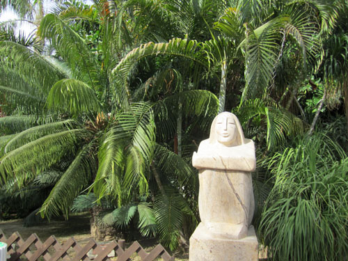 [Foto de planta, jardin, jardineria]